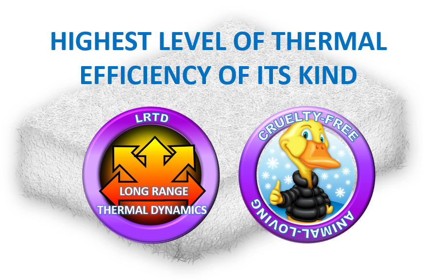 highest level of thermal efficiency of its kind