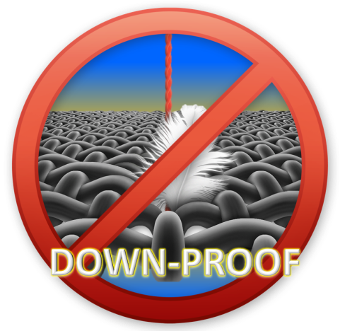 Down Proof Logo