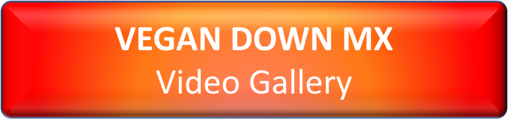 VeganDown Video Gallery on orange background
